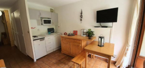 Résidence Grand Serre Che A - STUDIO COIN MONTAGNE 4 PERS MAE-4894